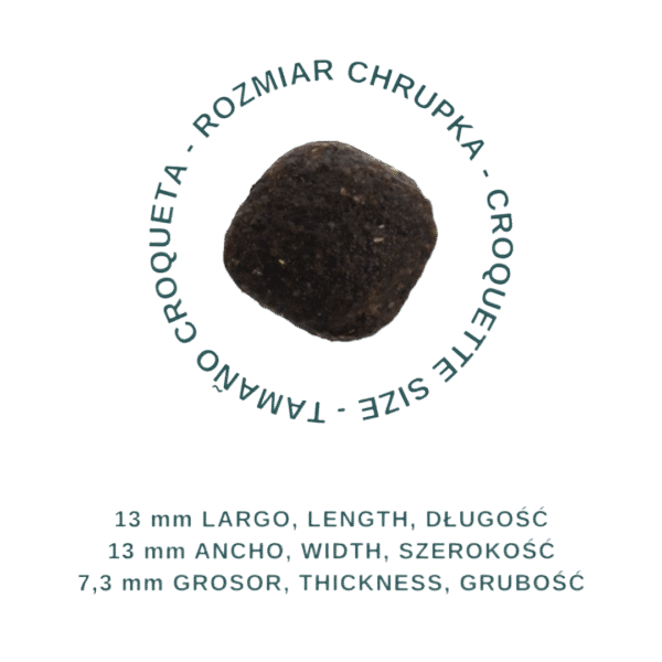 ADULT SALMON&RICE Karma dla dorosłych psów