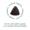 ADULT PREMIUM Karma dla dorosłych psów