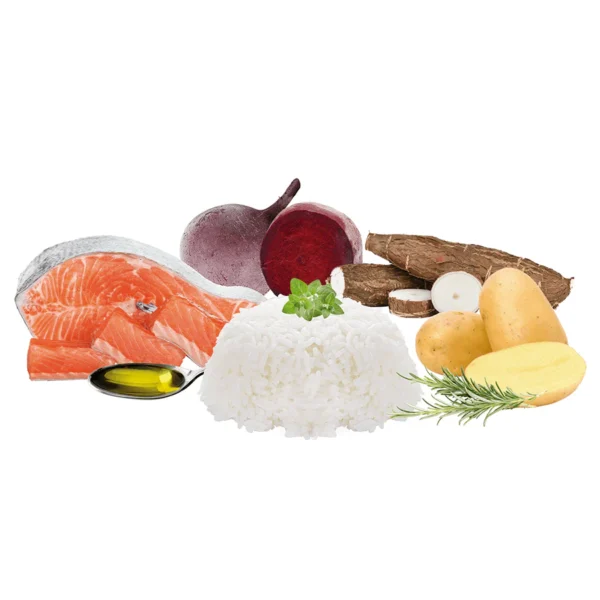 ADULT SALMON&RICE Karma dla dorosłych psów