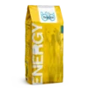 Energy_completo ENERGY Karma dla dorosłych psów - 20kg