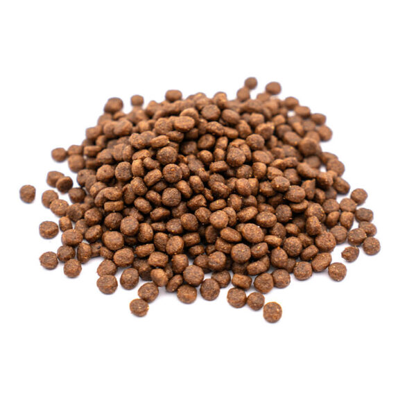 KITTEN+ Hipoalergiczna karma dla kociąt 3kg