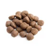 ACTIVITY Karma dla dorosłych psów - 20 kg