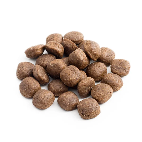 ACTIVITY Karma dla dorosłych psów - 20 kg