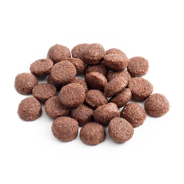 BASIC Karma dla dorosłych psów - 20kg