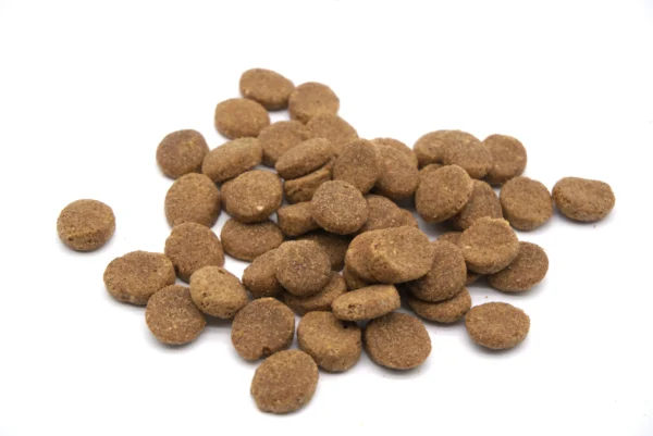 croqueta_ENERGY ENERGY Karma dla dorosłych psów - 20kg